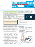 Material 2do 2 de Septiembre