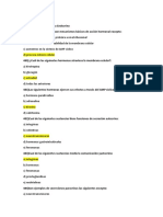 Sistema Endocrino