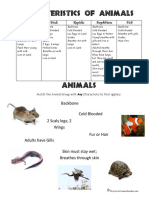 5 Animal Groups Characteristics of Animals Worksheets