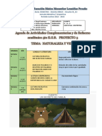 Actividades Complementarias y de Refuerzo 5to Básico