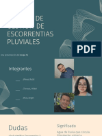 Sistema de Gestion de Escorrentias Pluviales