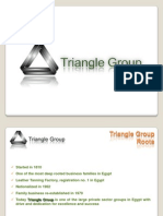 Triangle Corporate Pres