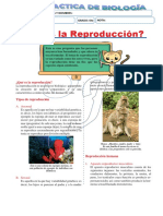 SEXTO - Biologia - 5ta y 6ta Hora