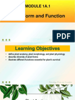 MODULE 1A.1 Plant Form and Function-1