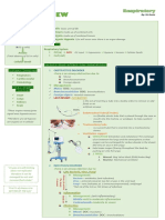 Respiratory MS NOTES