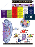 Map A Auricular Verso