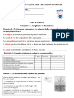 Fiche D'exercices Chap 5 Des Plantes Et Des Milieux