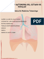 Hipertension Pulmonar Arterial