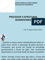 Facies e Processos Sedimentares