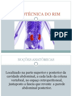 Semiotécnica Do Rim