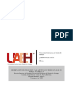 Elaboración de Modelos Fosiles