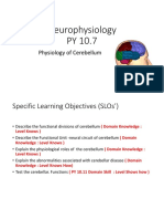 Physiology of Cerebellum