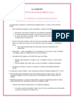 Cap 53 La Audición Resumen de Fisiología