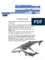 EVALUACIÓN LENGUAJE - 3º AÑO BÀSICO - Agosto 1