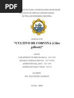 Cultivo de Corvina (Cilus: Gilberti)