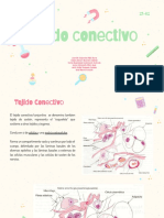 Tejido Conectivo