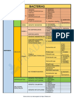 BACTERIAS Clasificacion