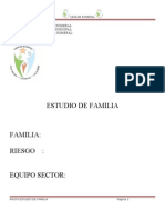 Formato Estudio de Familia