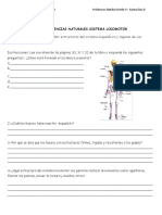 Guía 5° Sistema Locomotor