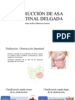 Obstrucción de Asa Intestinal Delgada