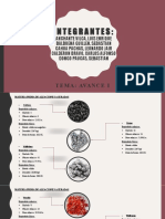 Integrador Exposición