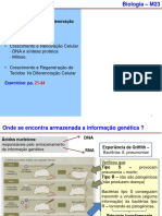 Aula VI - Crescimento Celular e Renovação Celular