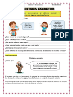 Ficha 120 Sistema Excretor Ciencia y Tecnología