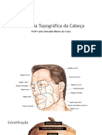 Anatomia Topográfica Da Cabeça