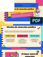 Niveles de Atención Medica