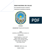 Informe I - Proyectos de Inversión 2021 B