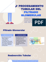 Procesamiento Tubular Del Filtrado Glomerular Completo