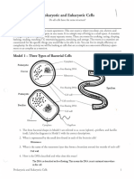 Honors Bio POGIL Prokaryotic and Eukaryotic Cells