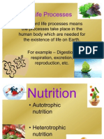 Science PPT On Life Process