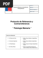 PDF Documento