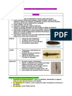 Teoria 20 Micro