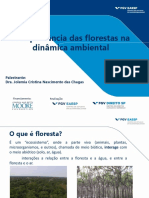 Floresta Dinamica Ambiental