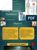 Sistema Nervioso Periférico