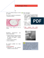 Patologia Oral Parte 2