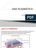 Membrana Plasmática