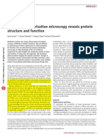 Two-Photon Polarization Microscopy Reveals Protein Structure and Function