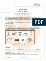 Class 11 Biology Chapter 8 - Revision Notes