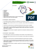 Roteiro de Aula Prática - Bioquímica Humana