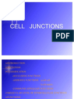 Cell Junctions