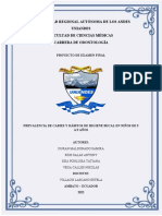 Proyecto Entorno Examen Final