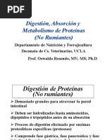 Digestion, Absorción y Metabolismo de Proteínas en No Rumiantes 2016