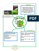 Infografia Sobre Las Algas