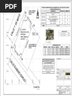 Terreno 1 - Levantamiento Topografico