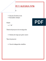 Proyecto Fencit