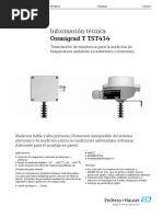 TST424 Endress