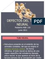 Defectos de Tubo Neural